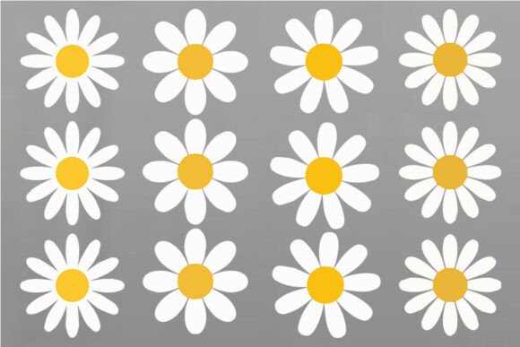 Download Daisy Flower SVG Bundle, Color Daisy SVG - Svg bundle Collection