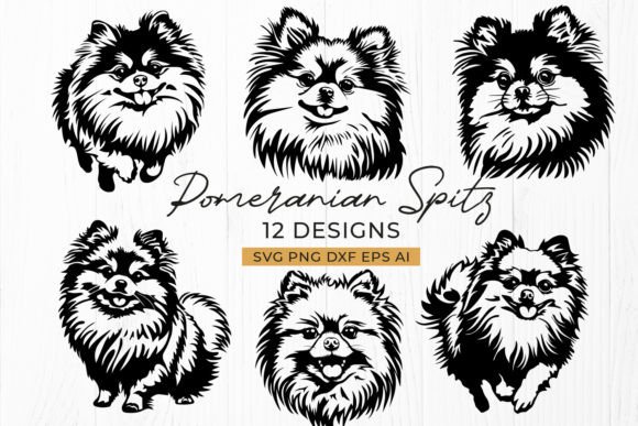 Download Pomeranian Spitz SVG Bundle - 12 Dog DXF - Svg bundle Collection