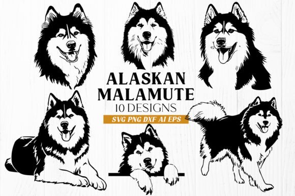 Download Alaskan Malamute SVG Bundle | 10 Dog DXF - Svg bundle Collection